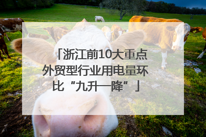 浙江前10大重点外贸型行业用电量环比“九升一降”