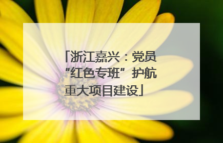 浙江嘉兴：党员“红色专班”护航重大项目建设