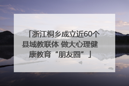 浙江桐乡成立近60个县域教联体 做大心理健康教育“朋友圈”