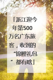 浙江迎今年第500万名广东旅客，收到的“锦鲤礼包”都有啥