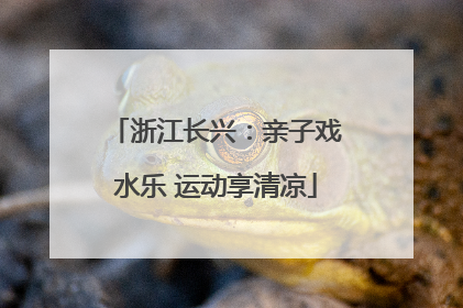 浙江长兴：亲子戏水乐 运动享清凉