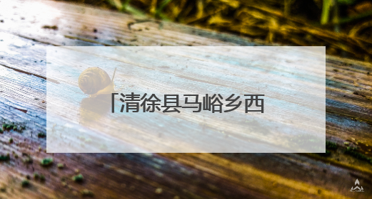 清徐县马峪乡西梁泉村：串串葡萄变身“金果果”