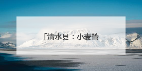 清水县：小麦管理正当时 守护粮“芯”绘丰景