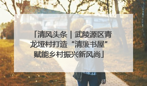 清风头条｜武陵源区青龙垭村打造“清廉书屋”赋能乡村振兴新风尚