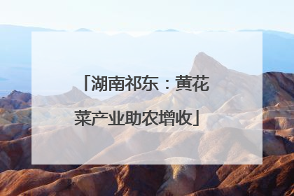 湖南祁东：黄花菜产业助农增收