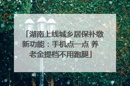 湖南上线城乡居保补缴新功能：手机点一点 养老金提档不用跑腿