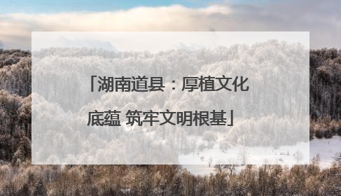 湖南道县：厚植文化底蕴 筑牢文明根基