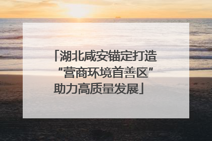 湖北咸安锚定打造“营商环境首善区”助力高质量发展
