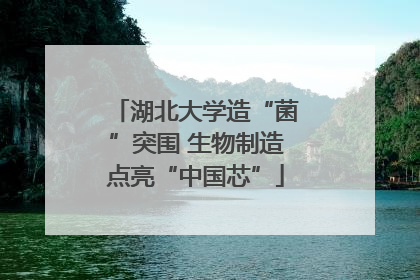 湖北大学造“菌”突围 生物制造点亮“中国芯”