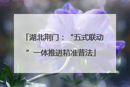 湖北荆门：“五式联动”一体推进精准普法