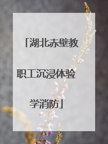 湖北赤壁教职工沉浸体验学消防
