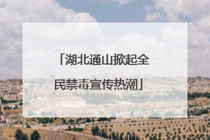 湖北通山掀起全民禁毒宣传热潮