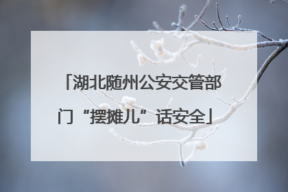 湖北随州公安交管部门“摆摊儿”话安全