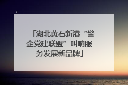湖北黄石新港“警企党建联盟”叫响服务发展新品牌