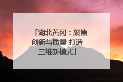 湖北黄冈：聚焦创新与质量 打造三维新模式