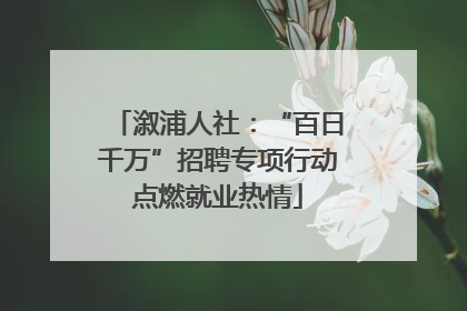 溆浦人社：“百日千万”招聘专项行动点燃就业热情