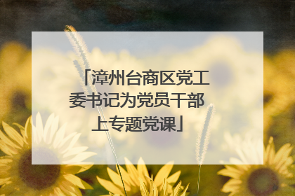 漳州台商区党工委书记为党员干部上专题党课