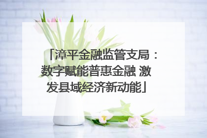 漳平金融监管支局：数字赋能普惠金融 激发县域经济新动能