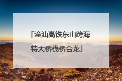 漳汕高铁东山跨海特大桥栈桥合龙