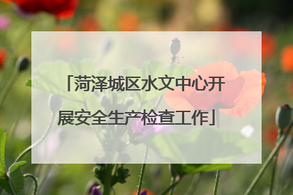 菏泽城区水文中心开展安全生产检查工作