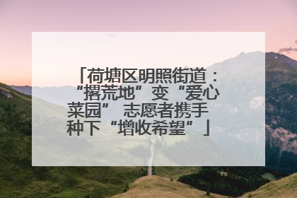 荷塘区明照街道：“撂荒地”变“爱心菜园” 志愿者携手种下“增收希望”