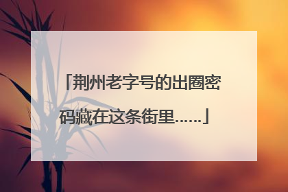 荆州老字号的出圈密码藏在这条街里……