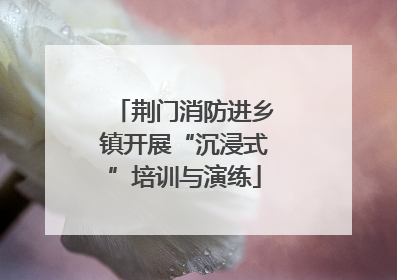 荆门消防进乡镇开展“沉浸式”培训与演练
