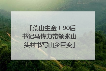 荒山生金！90后书记马传力带领张山头村书写山乡巨变