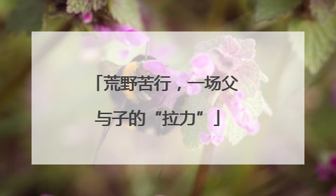 荒野苦行，一场父与子的“拉力”
