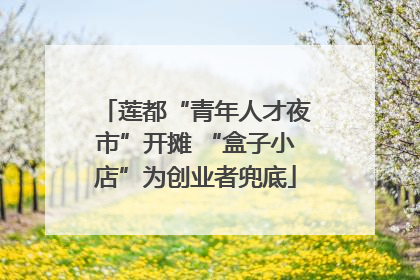 莲都“青年人才夜市”开摊 “盒子小店”为创业者兜底