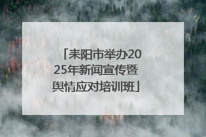 耒阳市举办2025年新闻宣传暨舆情应对培训班