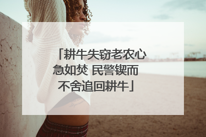 耕牛失窃老农心急如焚 民警锲而不舍追回耕牛