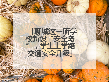 聊城这三所学校新设“安全岛”，学生上学路交通安全升级