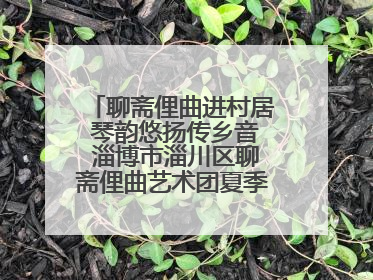 聊斋俚曲进村居 琴韵悠扬传乡音 淄博市淄川区聊斋俚曲艺术团夏季专场演出在杏园子村举行