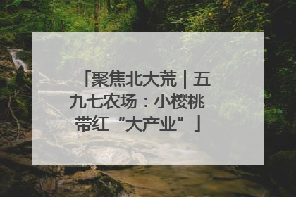 聚焦北大荒｜五九七农场：小樱桃带红“大产业”