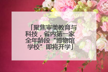 聚焦审美教育与科技，省内第一家全年龄段“博物馆学校”即将开学