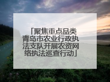 聚焦重点品类 青岛市农业行政执法支队开展农资网络执法巡查行动