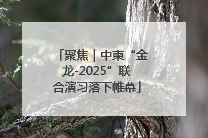 聚焦｜中柬“金龙-2025”联合演习落下帷幕