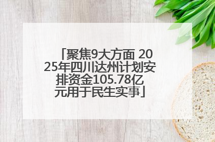 聚焦9大方面 2025年四川达州计划安排资金105.78亿元用于民生实事