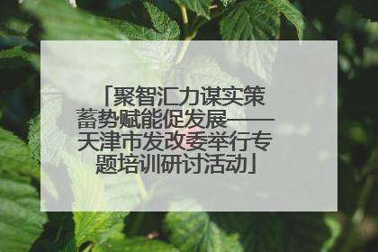 聚智汇力谋实策 蓄势赋能促发展——天津市发改委举行专题培训研讨活动