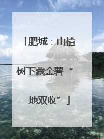 肥城：山楂树下藏金薯“一地双收”