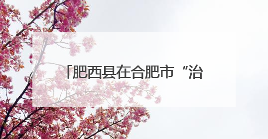肥西县在合肥市“治愈系心理漫画”“校园心理剧剧本”评选中荣获多项大奖！