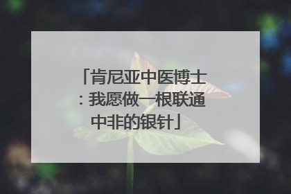 肯尼亚中医博士：我愿做一根联通中非的银针