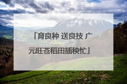 育良种 送良技 广元旺苍稻田插秧忙