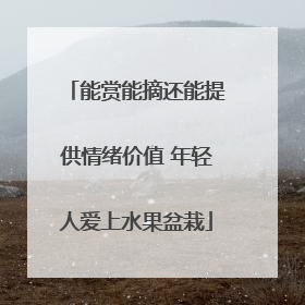能赏能摘还能提供情绪价值 年轻人爱上水果盆栽