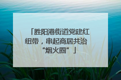 胜阳港街道党建红纽带，串起商居共治 “烟火圈”
