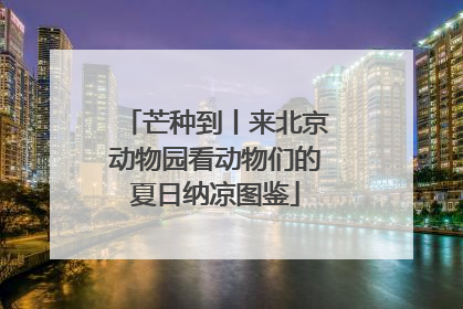 芒种到丨来北京动物园看动物们的夏日纳凉图鉴
