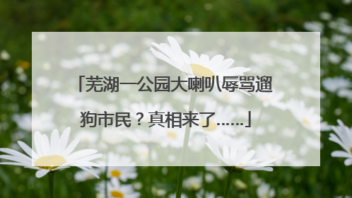 芜湖一公园大喇叭辱骂遛狗市民？真相来了……