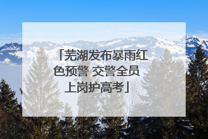芜湖发布暴雨红色预警 交警全员上岗护高考