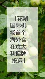 花湖国际机场首个海外仓在意大利揭牌投运